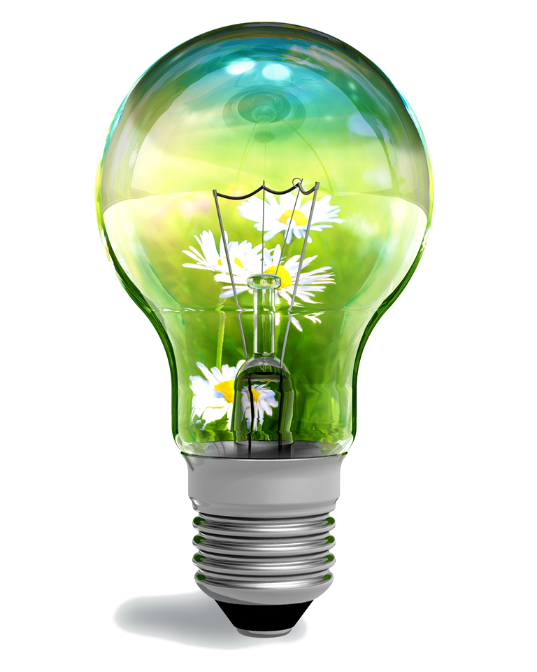 экологичная упаковка и краска